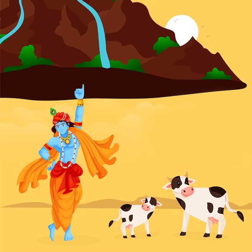 use cow dung as fertiliser