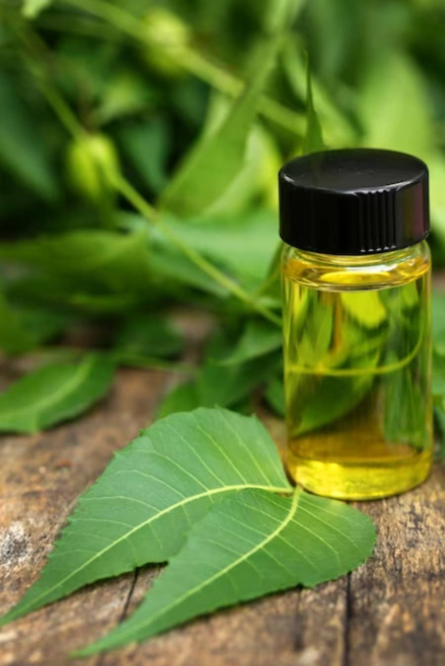 use of lemon and neem oil