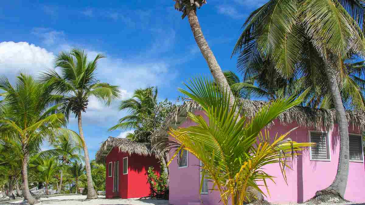 vastu tips coconut tree at home