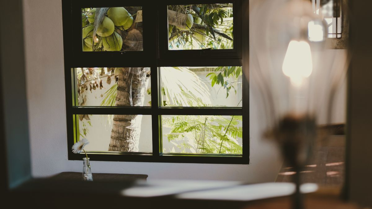 vastu tips coconut tree