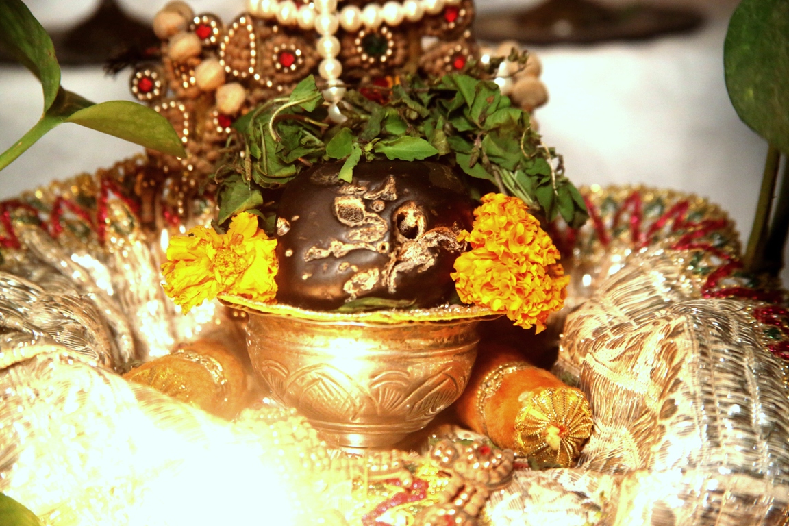 which shaligram should we keep in tulsi in hindi