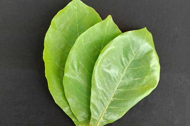 why we use betal in puja