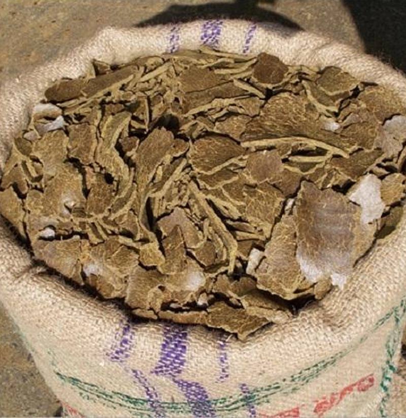 Mustard Cake For Lavender Plant