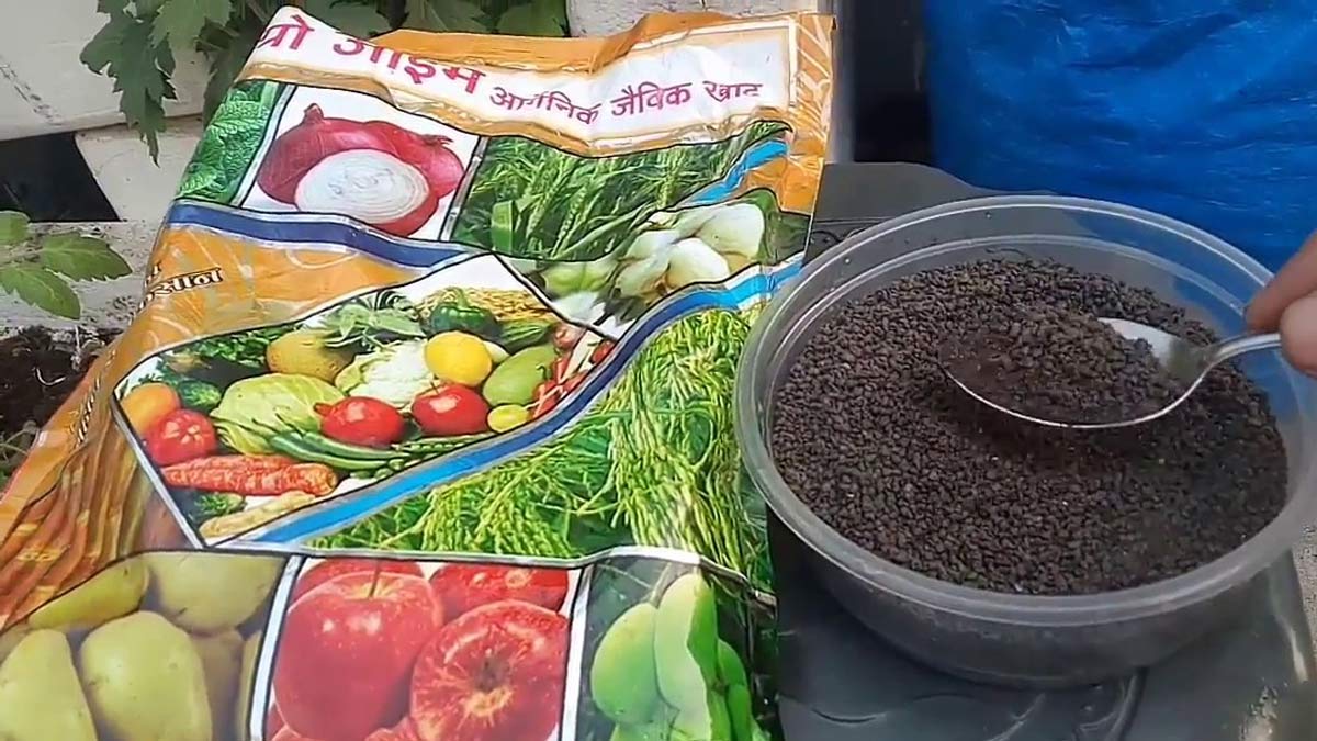 Zyme Fertiliser For Lavender Plant