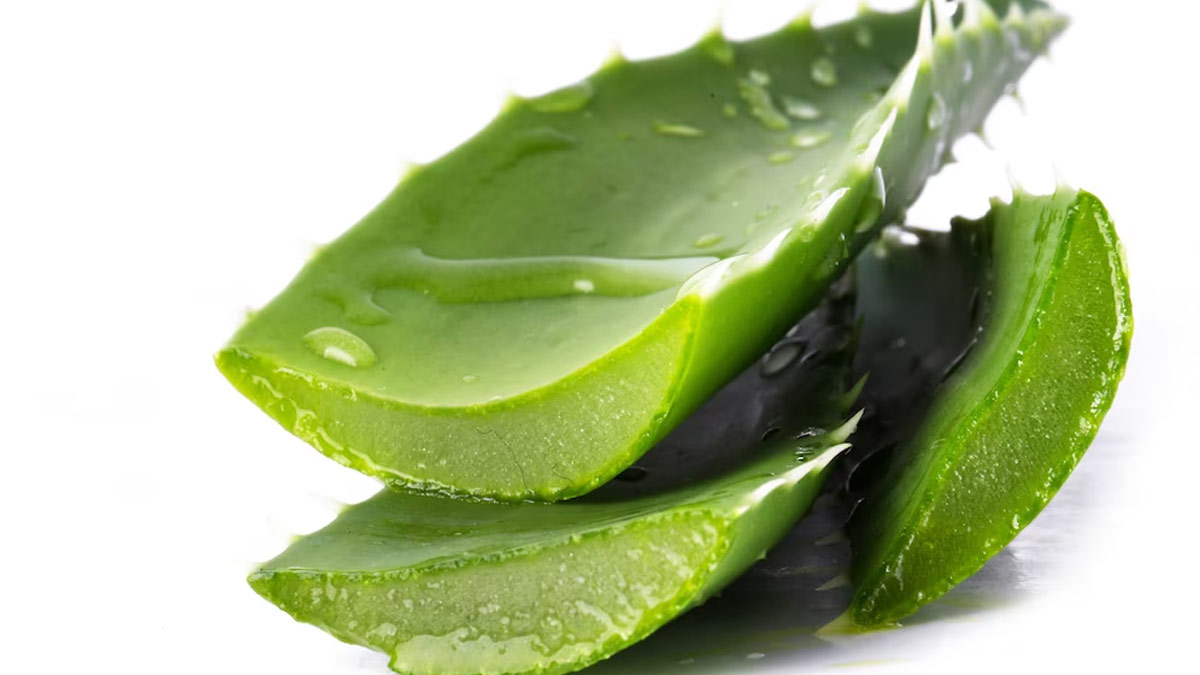 aloe vera for healthy hair