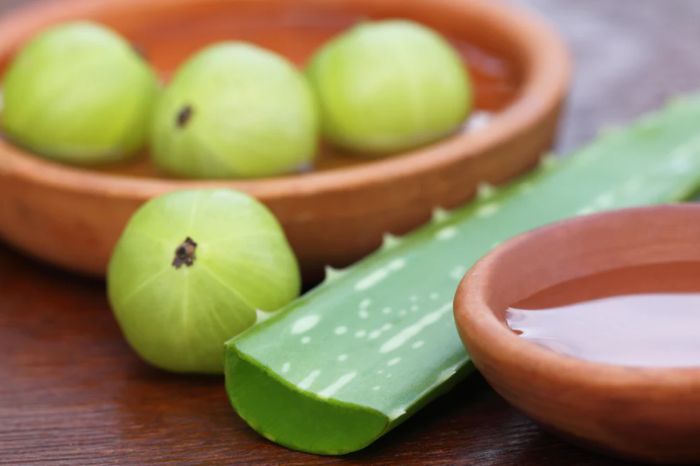 amla aloe vera juice benefits