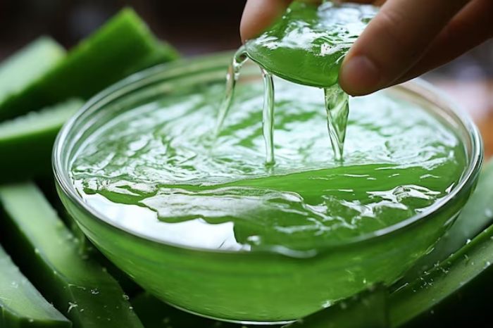 amla aloe vera