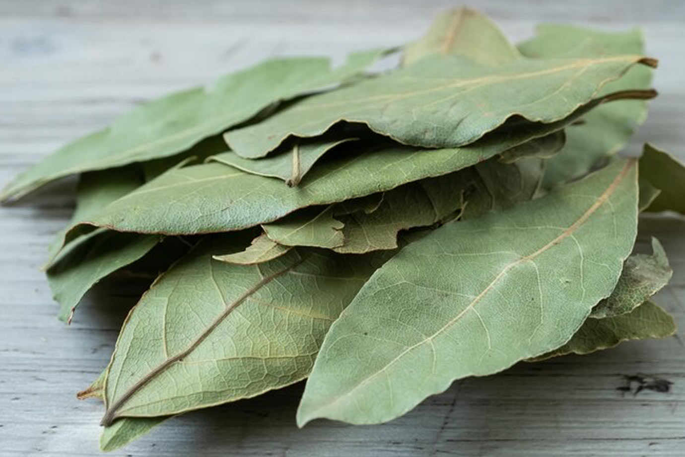 bay leaves astrology significance