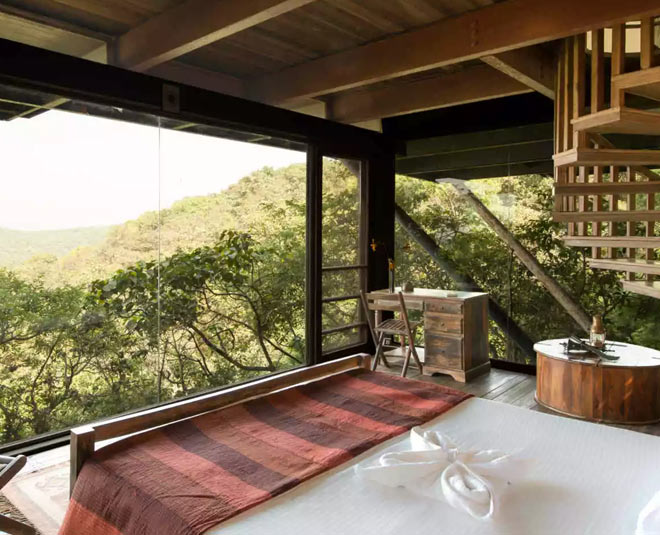 best tree house in kerala