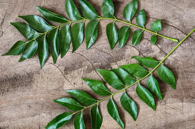 how to make curry leaves hair pack