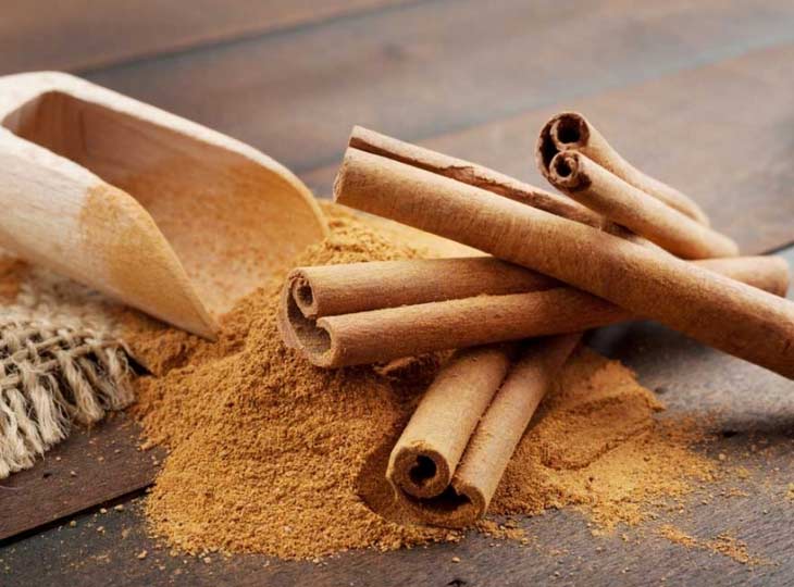 how to use cinnamon to repel insects from plants