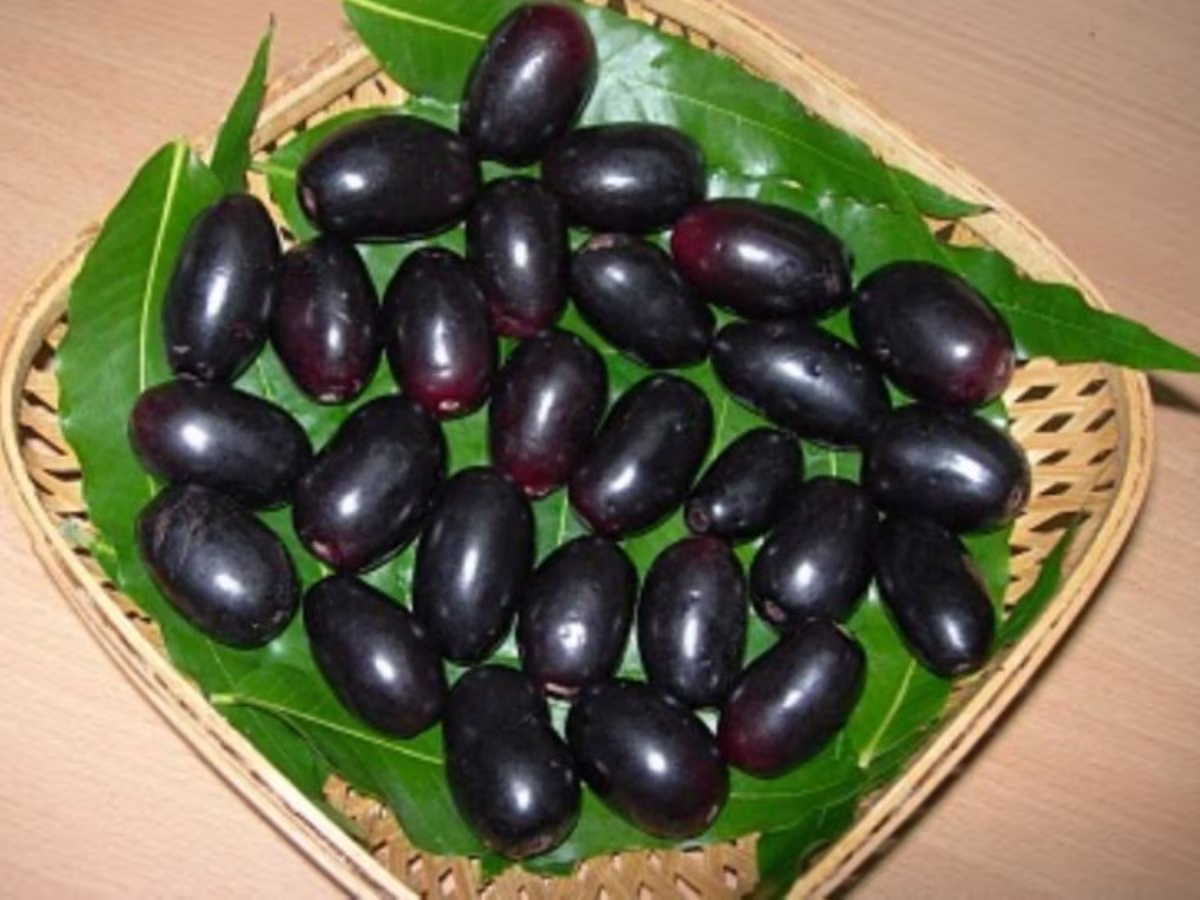 jamun