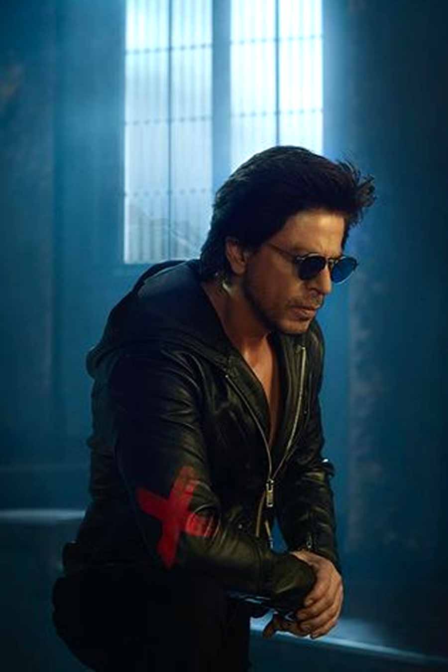 know about y plus security