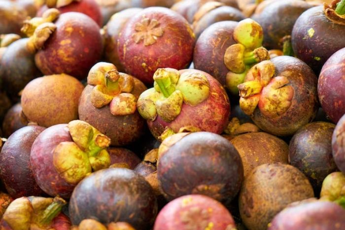 mangosteen for women