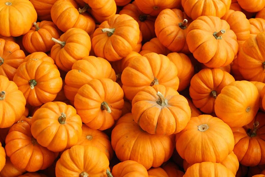 pumpkin garlic soup for gut health