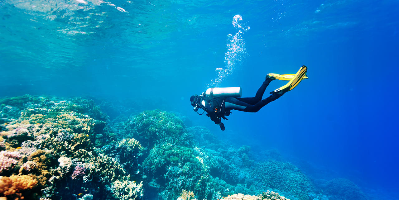 Best Scuba Diving In India, Maharashtra