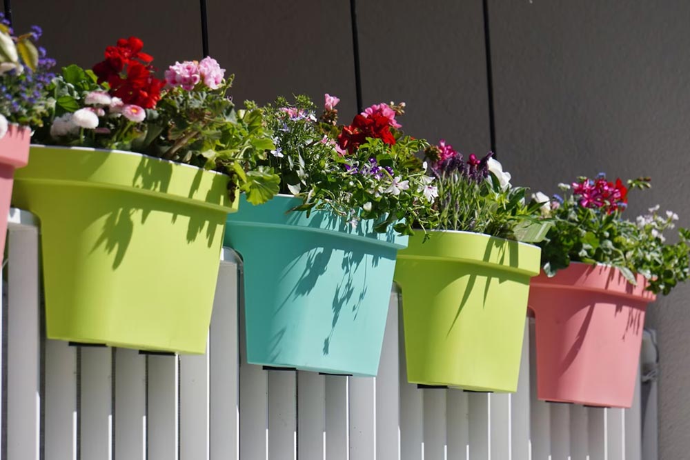 Container Gardening