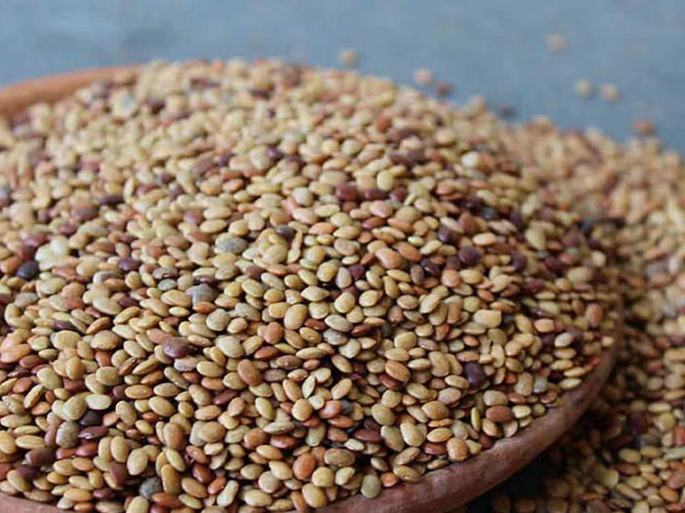 How do you get rid of worms in lentils