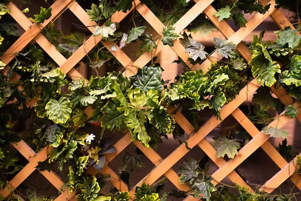 Lattice Green Wall Gardening
