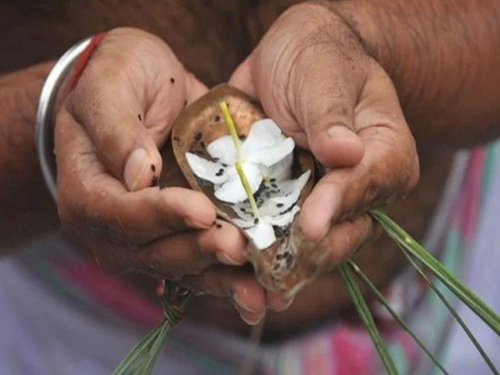 WHITE FLOWER FOR SHRADH PUJA