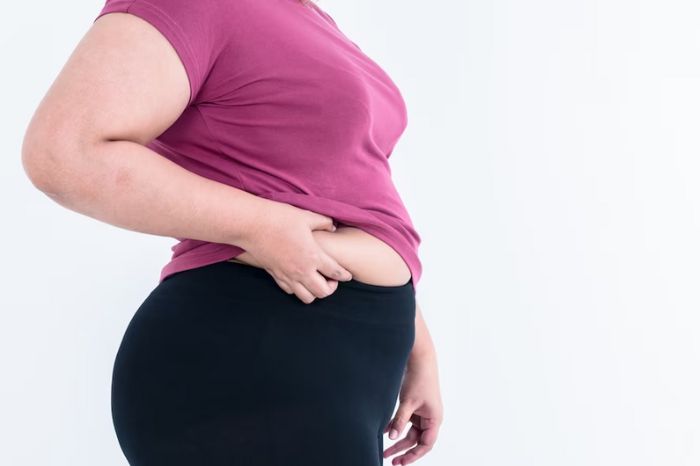 belly fat ayurvedic reasons