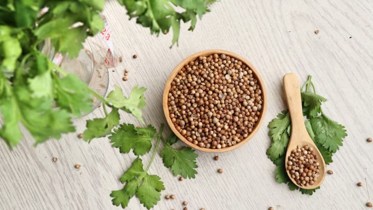 coriander water morning drink  site