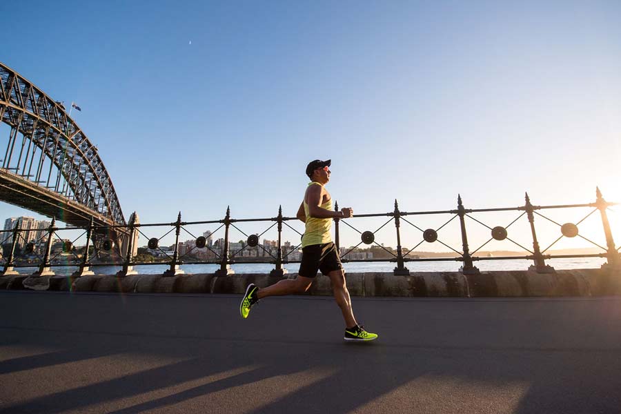 litchi benefit energy