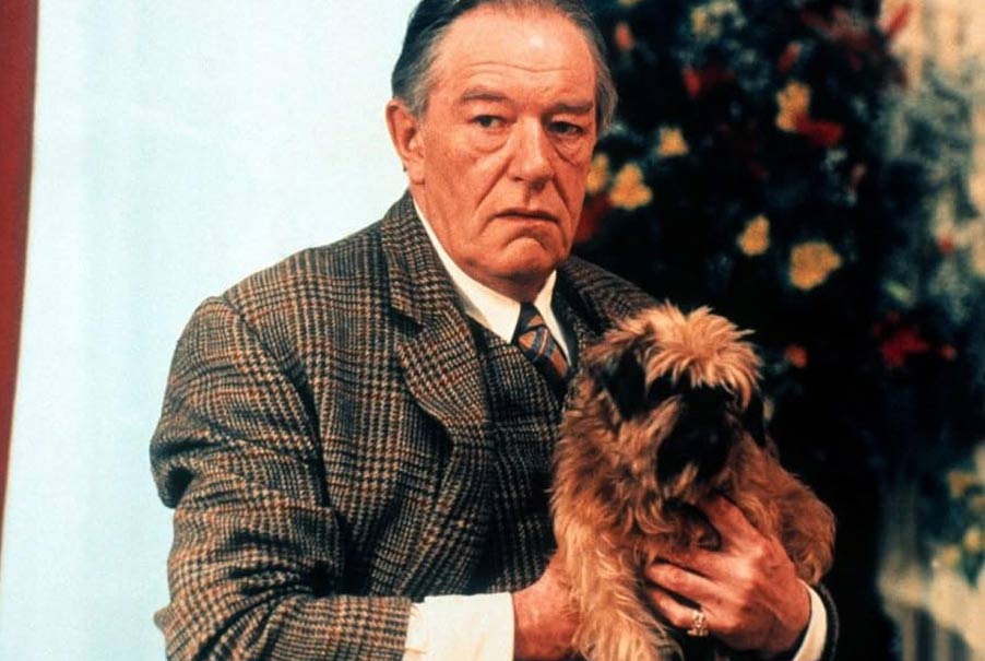 michael gambon gosford