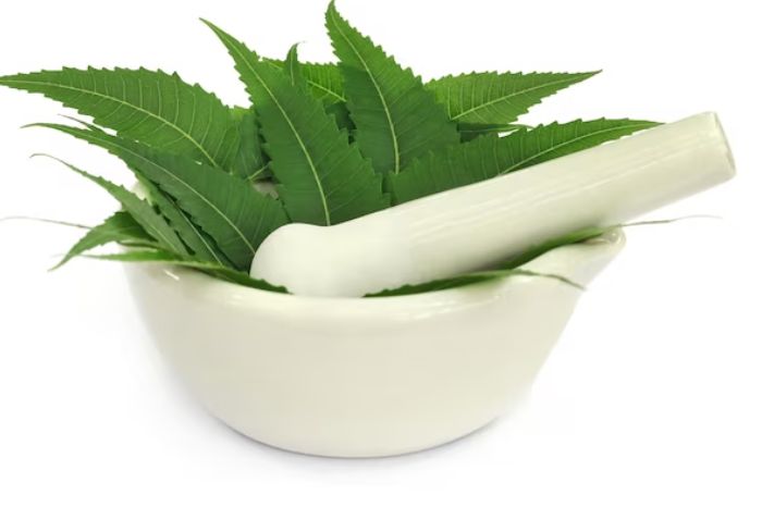 neem leaves medicinal uses