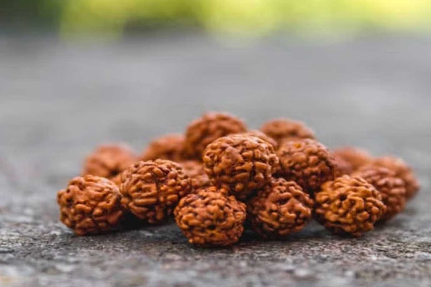 rudraksha and its features