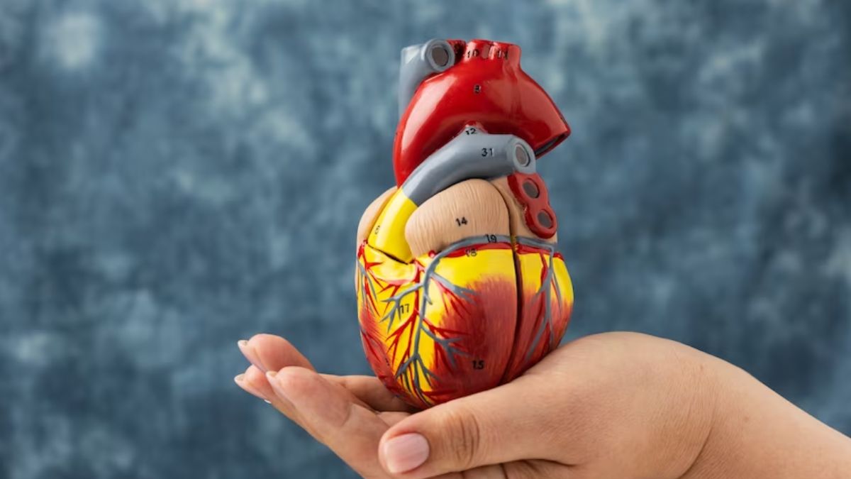 women heart attack symptoms site