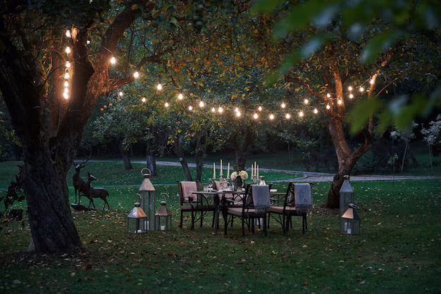 Chandigarh Night Places