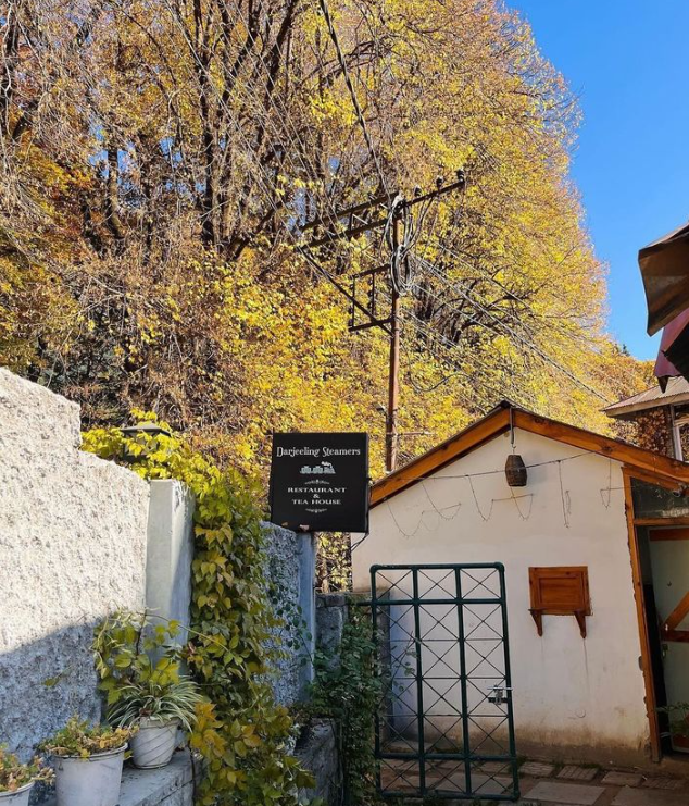 Darjelling momos manali