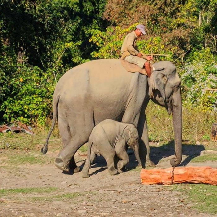 Namdapha National Park