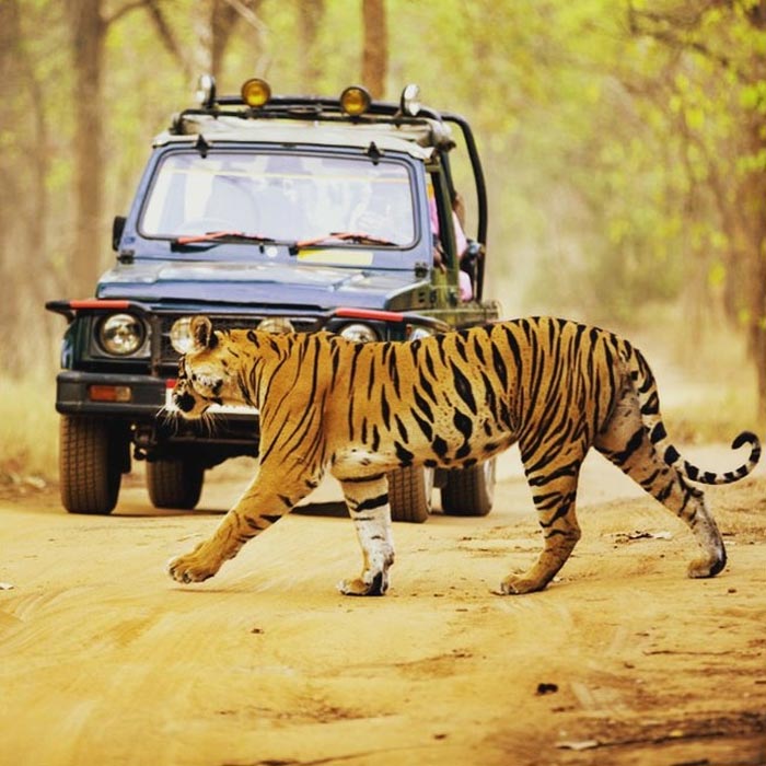 Nameri National Park