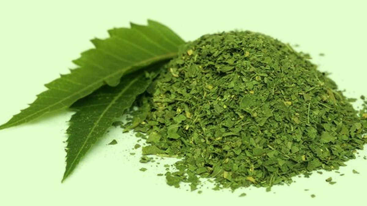 Neem Leaves benefits for plants