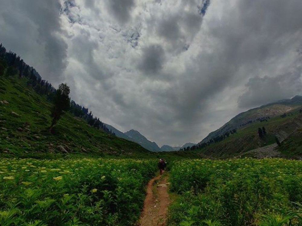 Where is baltal valley