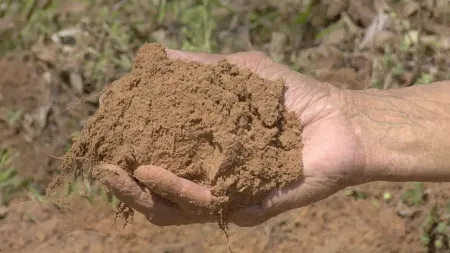 Which type of soil is used in the garden