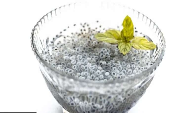 health benefits of chia seeds