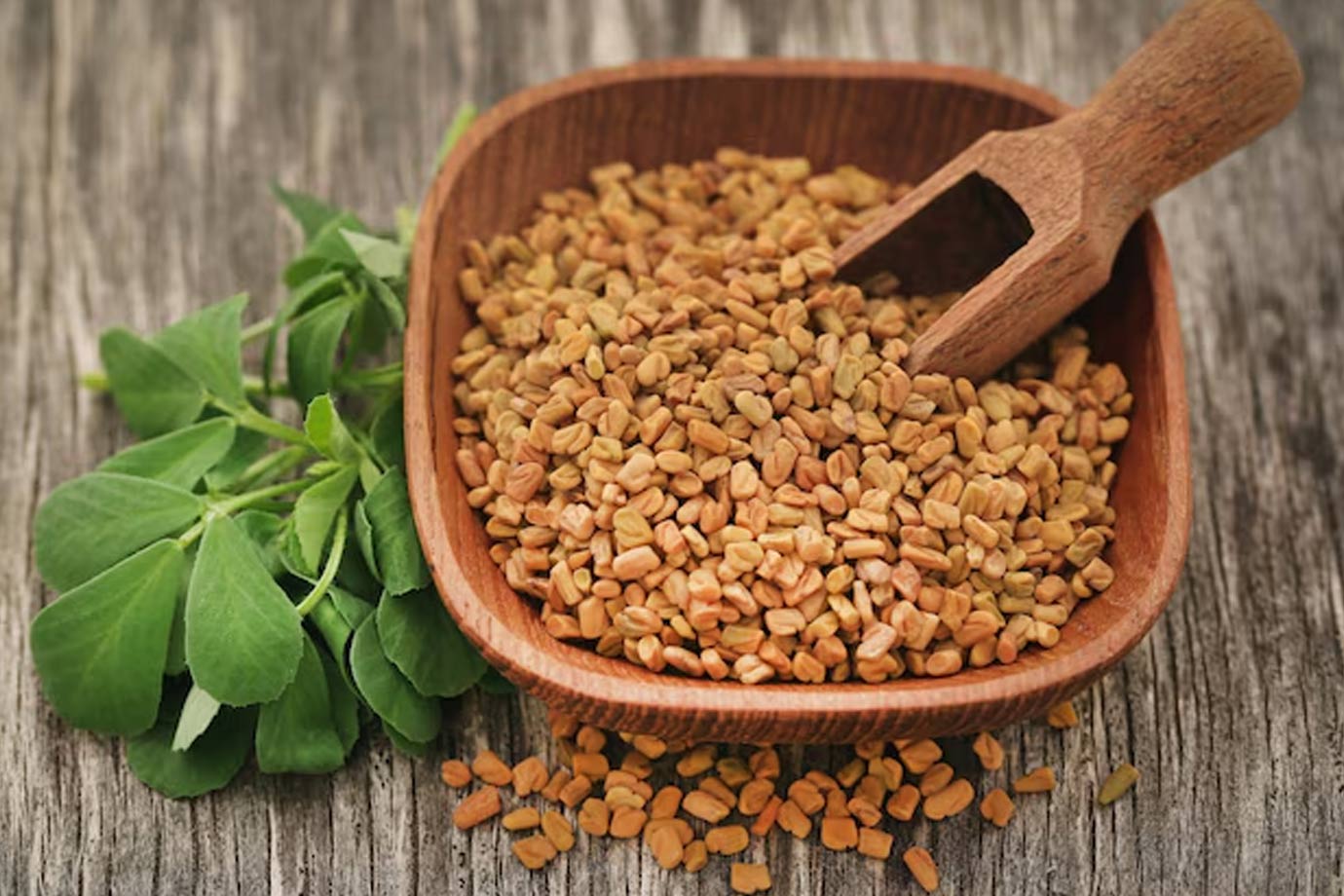 health benefits of fenugreek