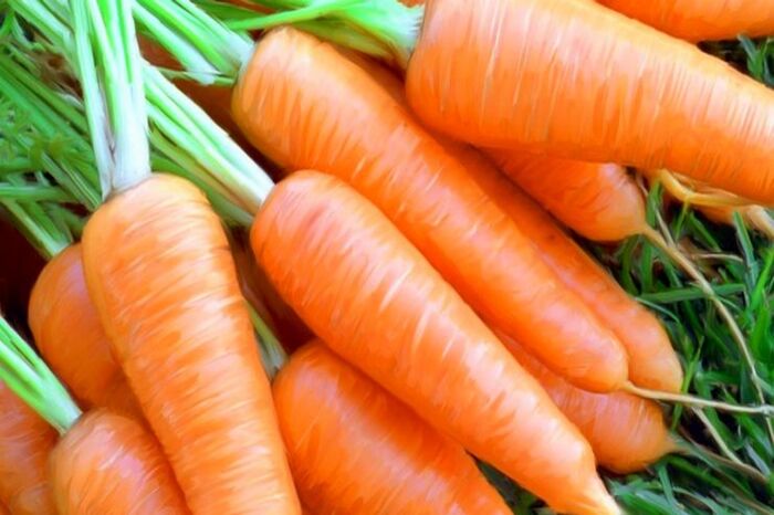 home remedies for hair growth an