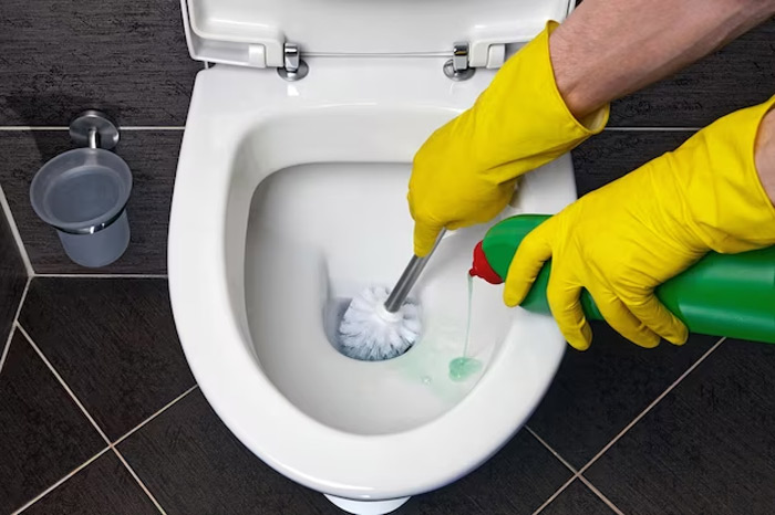 how to clean toilet pot ()