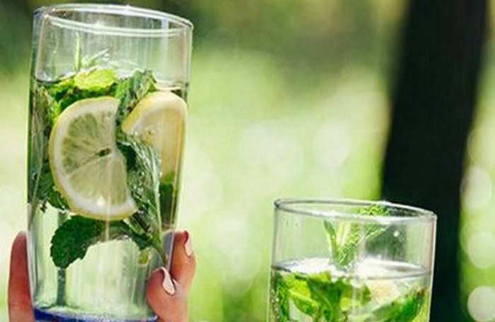 mint water for weight loss