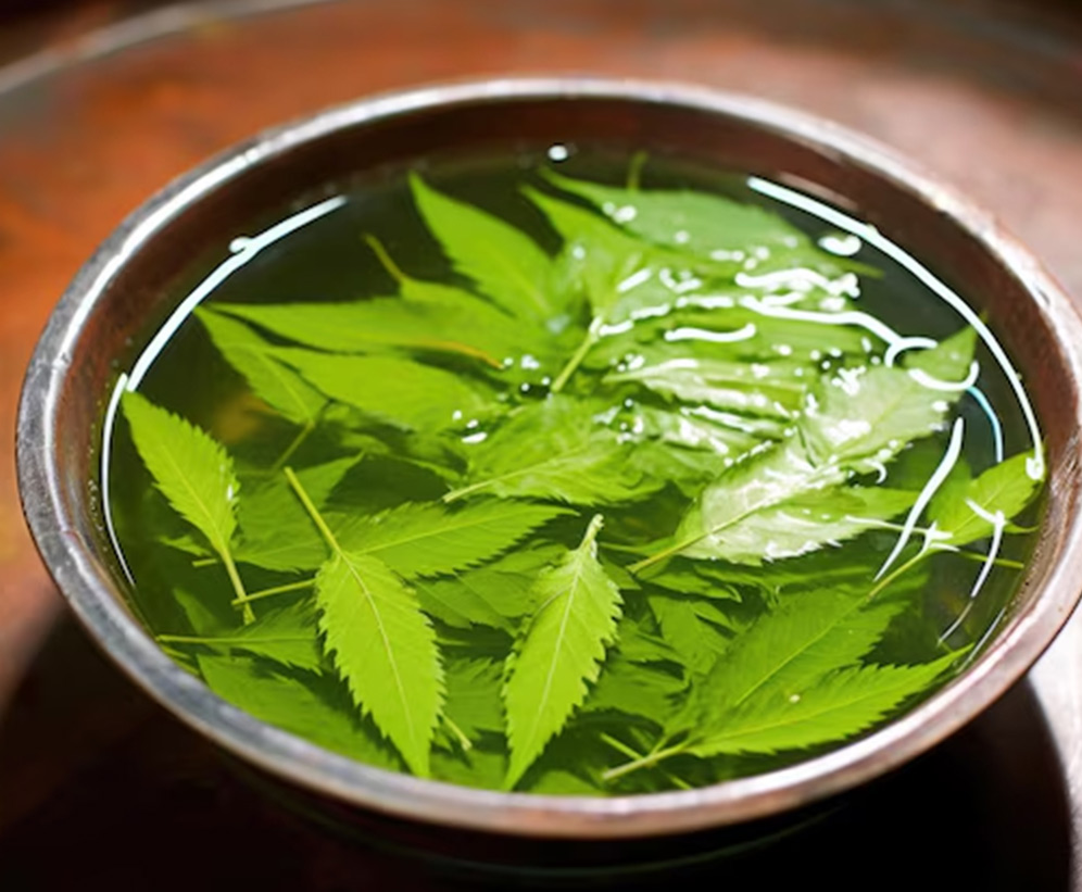 neem leaves benefits