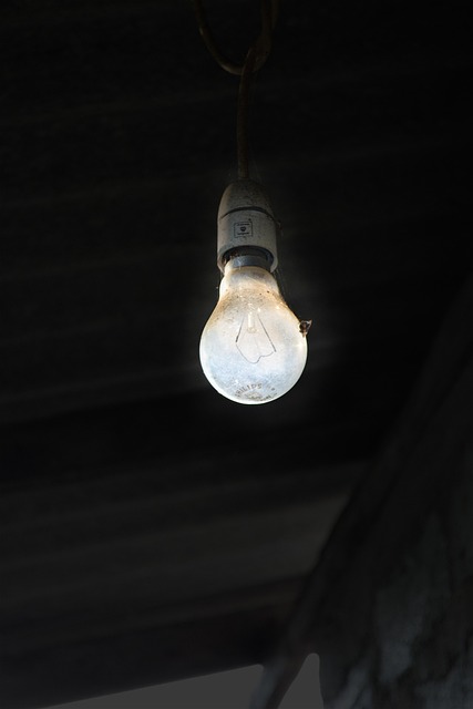 old bulb