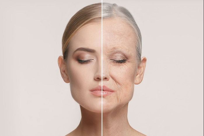 skin aging and effective anti aging