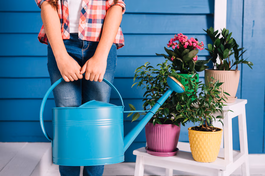 tips to protect plants in summer