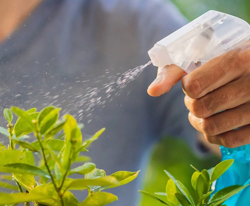 tips to use neem leaves