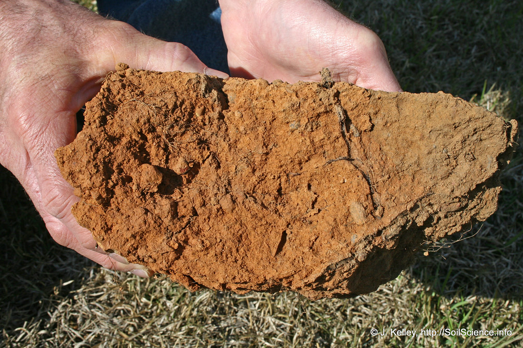 type of soil is used in the garden