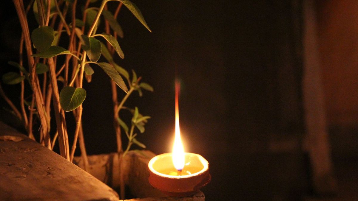 what are the benefits of lighting flaxseed oil lamp near basil plant